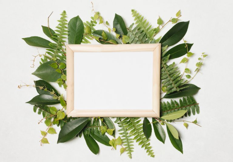 Photo frame surrounded by green leaves